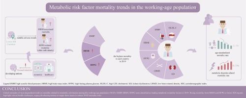 Global, regional, and national trends in metabolic risk factor-associated mortality among the working-age population from 1990-2019: An age-period-cohort analysis of the Global Burden of Disease 2019 study