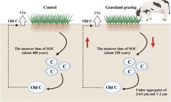 Radiocarbon evidence of organic carbon turnover response to grassland grazing: A soil aggregate fraction perspective