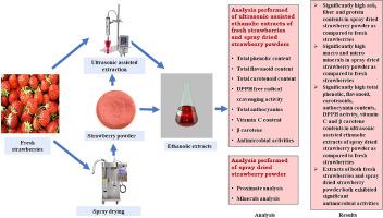 Effects of spray drying and ultrasonic assisted extraction on the phytochemicals, antioxidant and antimicrobial activities of strawberry fruit