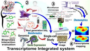 Bioprobe-RNA-seq-microRaman system for deep tracking of the live single-cell metabolic pathway chemometrics