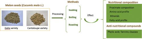 Effect of processing methods on the phytochemical content of melon seeds (Cucumis melo L.)