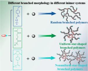 Polymerization behaviors and branching structural analysis of branched polymers in self-condensing atom transfer radical copolymerization of different inimers