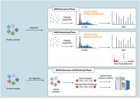 Implementation of a LC-MS based multi-attribute method (MAM) and intact multi-attribute method (iMAM) workflow for the characterisation of a GLP-Fc fusion protein