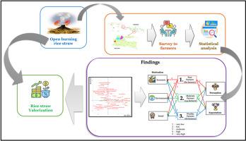 Mapping analysis of farmers' perceptions of rice straw valorization in Indonesia