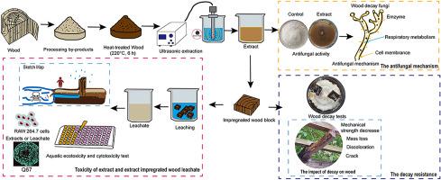 Antifungal activity of heat-treated wood extract against wood decay fungi