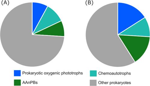 Development of a digital droplet PCR approach for the quantification of soil micro-organisms involved in atmospheric CO2 fixation