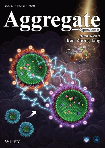 Inside Back Cover: Twins-like nanodrugs synchronously transport in blood and coalesce inside tumors for sensitive ultrasound imaging and triggerable penetrative drug delivery