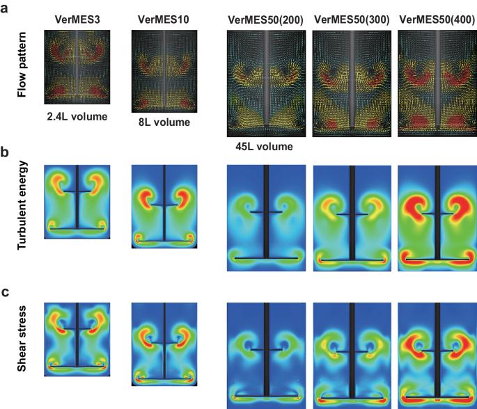 Defective flow space limits the scaling up of turbulence bioreactors for platelet generation