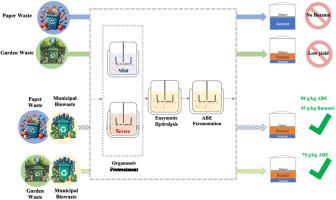 Enhanced biobutanol production with sustainable Co-substrates synergy from paper waste and garden waste with municipal biowaste