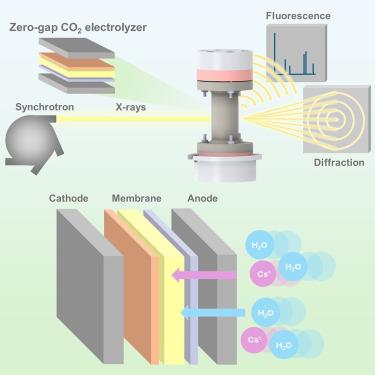 Unveiling transport mechanisms of cesium and water in operando zero-gap CO2 electrolyzers