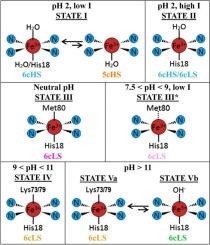 Probing the versatility of cytochrome c by spectroscopic means: A Laudatio on resonance Raman spectroscopy