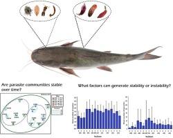 Inter-annual and seasonal variations of the metazoan parasite communities of the blue sea catfish Ariopsis guatemalensis (Siluriformes: Ariidae), in a tropical coastal lagoon