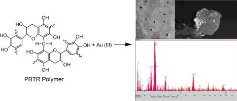 Recovery of gold from electronic waste by the synthesis of Pinus Brutia tannin polymer