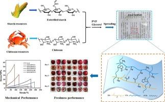 Esterification modified corn starch composite with chitosan and PVP for enhanced mechanical properties and antimicrobial freshness preservation of starch-based films