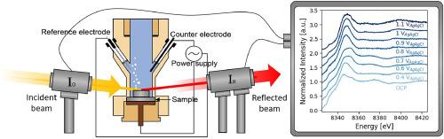 Probing the electrode-liquid interface using operando total-reflection X-ray absorption spectroscopy