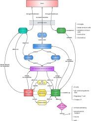 Peyer’s Patch: Possible target for modulating the Gut-Brain-Axis through microbiota