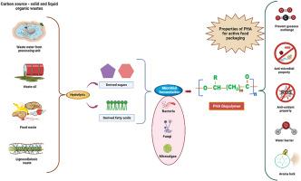 Advancements in microbial production of polyhydroxyalkanoates (PHA) from wastes for sustainable active food packaging: An eclectic review