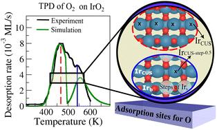 Characterization of adsorption sites on IrO2via temperature programmed O2 desorption simulations†