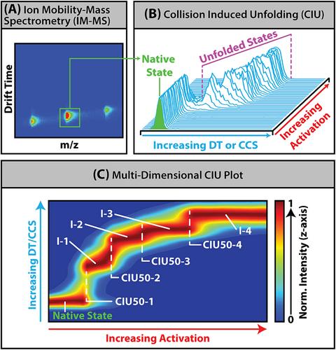 Recent advances in gas phase unfolding: Instrumentation and applications