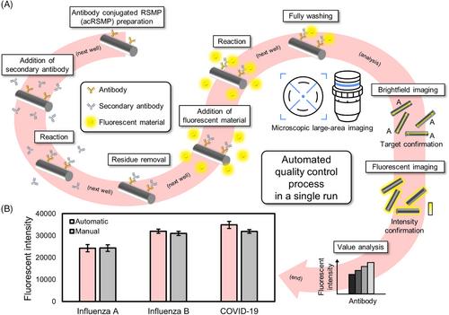 All-in-one platform: Versatile, Easy, and User-friendly System (VEUS) based on automated and expert-independent antibody immobilization and immunoassay by utilizing customized movement of magnetic particles