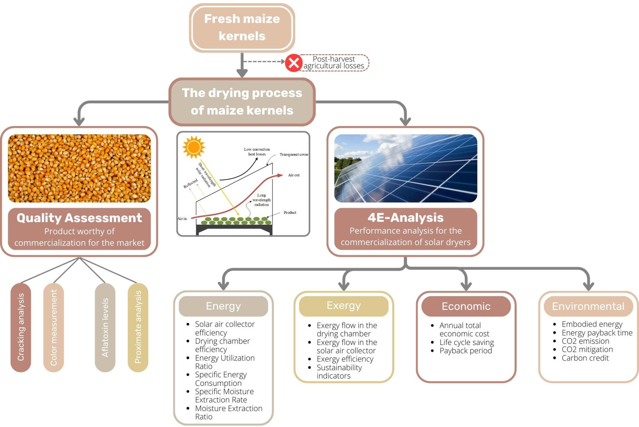 Advancements and 4E + Q performance analyses in solar drying for maize kernels preservation: A comprehensive review