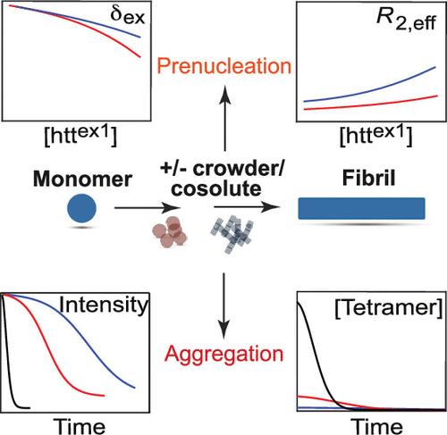 Effects of Macromolecular Cosolutes on the Kinetics of Huntingtin Aggregation Monitored by NMR Spectroscopy
