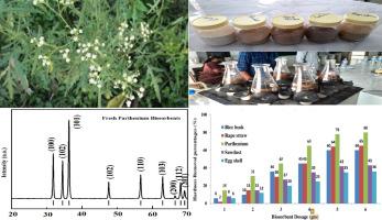 An experimental study on the parthenium biosorbents for removals of chlorides and hardness from contaminated water