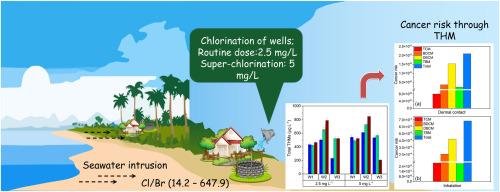 Formation and health risk assessment of trihalomethanes in coastal wells impacted by seawater intrusion