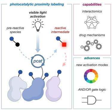 Current advances in photocatalytic proximity labeling