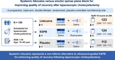 Systemic lidocaine versus erector spinae plane block for improving quality of recovery after laparoscopic cholecystectomy: A randomized controlled trial