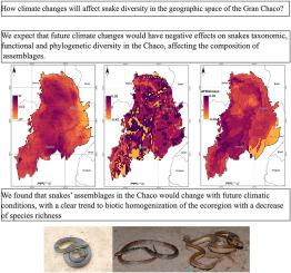 Impacts of climate change in taxonomic, phylogenetic and functional diversity in snakes in largest dry forest ecoregion, the Gran Chaco