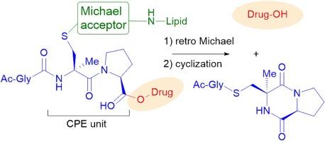 Cysteinylprolyl ester-mediated drug release from a lipid–drug conjugate