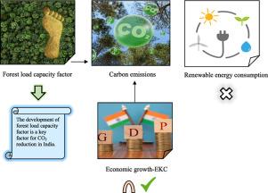 Determining the effectiveness of the forest load capacity factor in assisting decarbonization in India