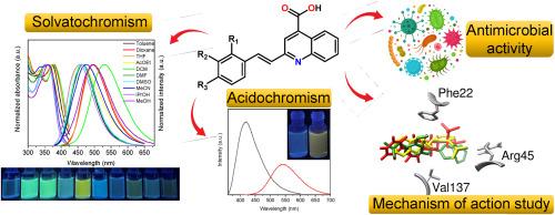 2-Styryl-quinoline-4-carboxylic acids: Synthesis, characterization, and investigation of their optical properties and antimicrobial activity