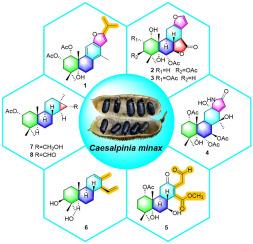 Structurally diverse diterpenoids from the seeds of Caesalpinia minax Hance and their bioactivities