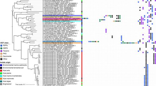 Multi-omics analysis of antagonistic interactions among free-living Pseudonocardia from diverse ecosystems