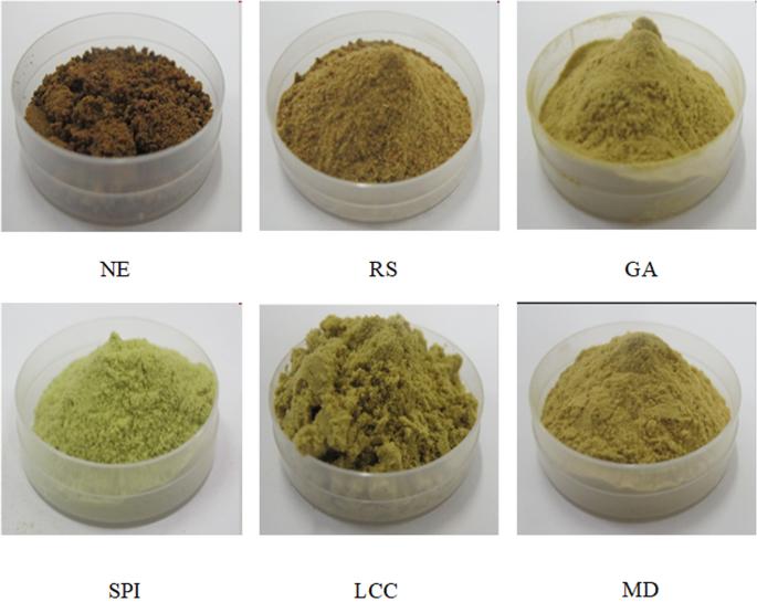 Effects of wall materials on the physicochemical properties of spray-dried bitter gourd (Momordica charantia L.) powders