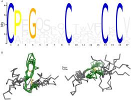 Wheat bread making (WBM)-like seed proteins (WSPN): A new family of small prolamins in barley