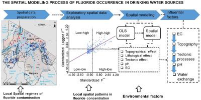 Spatial modeling of the occurrences of geogenic fluoride in groundwater systems in Tanzania: Implications for the provision of safe drinking water