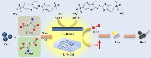 Aspartic acid-Cu(Ⅱ)-based nanozymes for combating bacterial infections