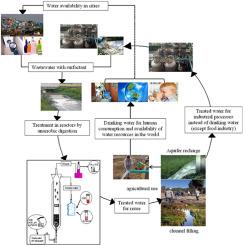 Effect of lactose as a co-substrate in the biodegradation of an anionic surfactant “LAS” by anaerobic digestion