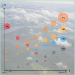 Further evidence for increasing global near-shore eutrophication from the Estero Salado, Guayaquil, Ecuador