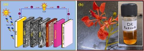 Natural photosensitizer extraction from Delonix regia flowers for future photosensor for DSSCs applications