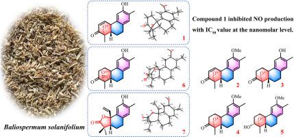 Structurally diverse diterpenoids and phenanthrene derivatives from the roots of Baliospermum solanifolium