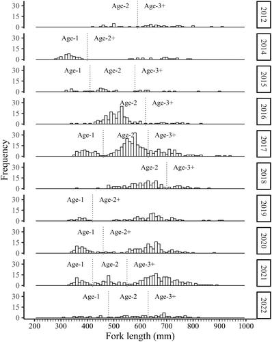 Long-term trends in abundance and recruitment of Shortnose Sturgeon in the Altamaha River, Georgia