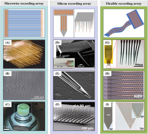 High-density implantable neural electrodes and chips for massive neural recordings