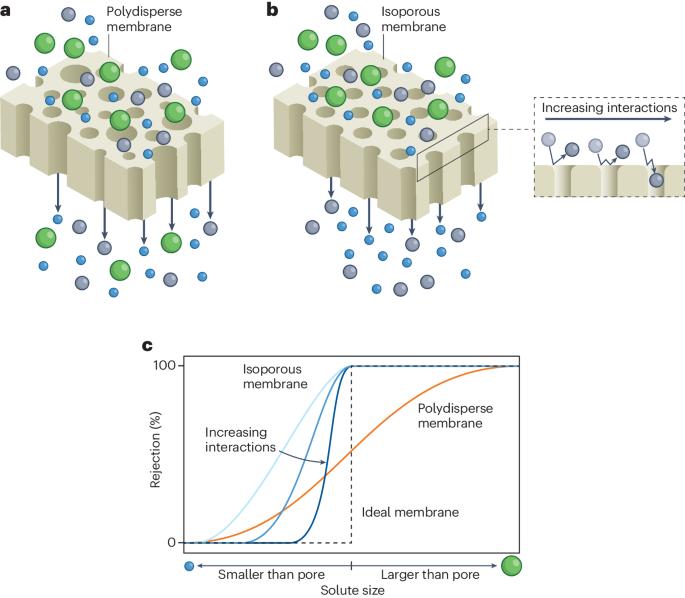 Perfecting size-selective membrane separations