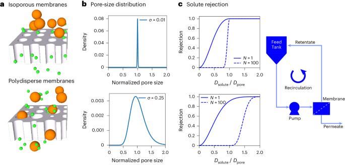 Pushing the limits of size selectivity in nanoscale solute separations