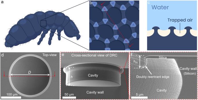 Insect-inspired breathing interfaces: investigating robustness of coating-free gas entrapping microtextured surfaces under pressure cycles