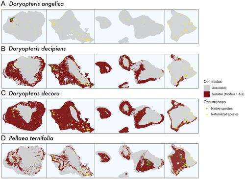 Conservation applications of niche modeling: Native and naturalized ferns may compete for limited Hawaiian dryland habitat